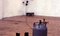 LANDSCAPE WITH INCIDENT_______bronze soled shoes heated to flash point / Oceaan Gallery Arnhem The Netherlands / 1993
