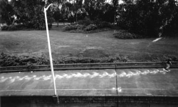 SNOWSHOES_______ an ongoing performance, snowshoes containing white flour are leaving marks while walking in different cities / SEATTLE / 1990 —